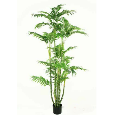 0331408-planta.png
