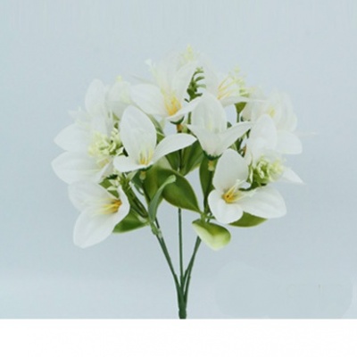 0431744-LILIUM.jpg
