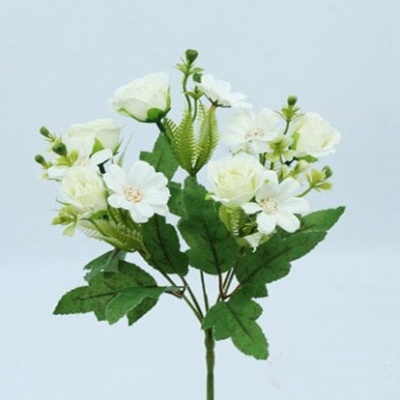 0434907-1-rosa.jpg