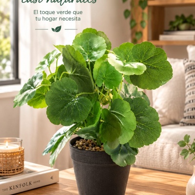 PLANTA-0435332.jpeg