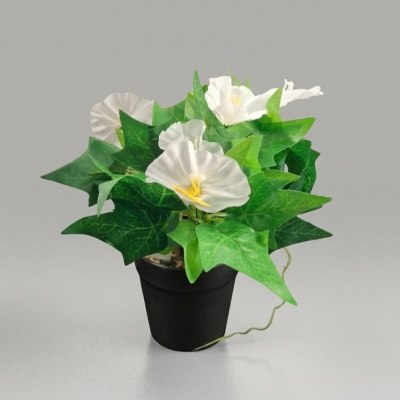 0435338-planta.jpeg