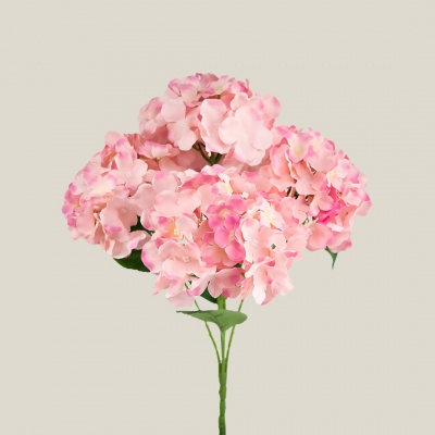 281431-VARA-HORTENSIA.jpg