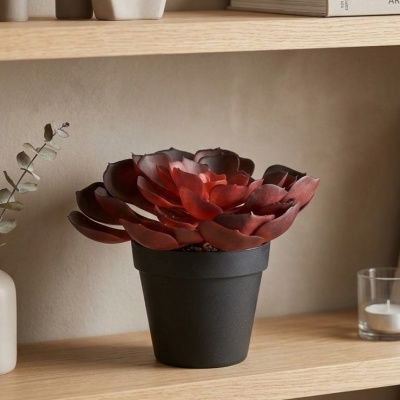 0435354-PLANTA.jpeg