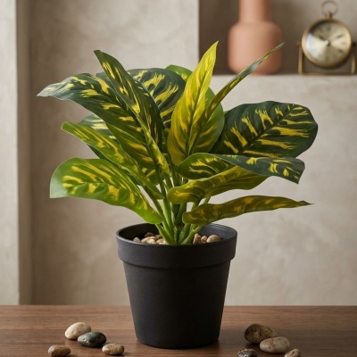 0435360-planta.jpeg
