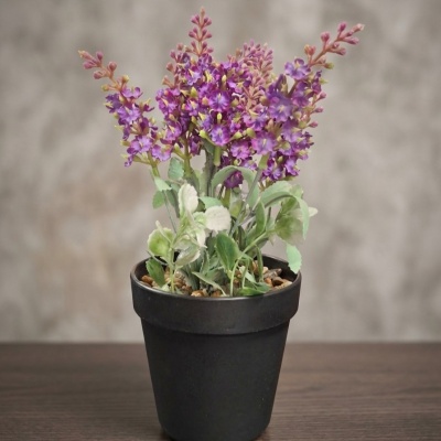 0435366-planta.jpeg