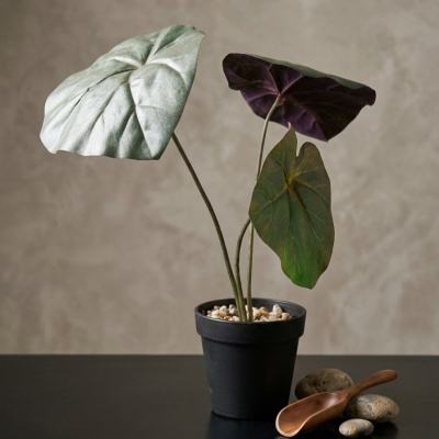 0435369-planta-1.jpeg