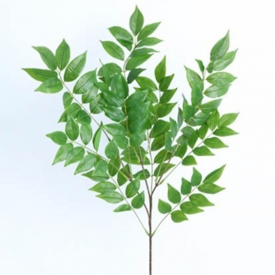 0435507-VARA.jpg