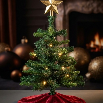 0435570-ARBOL.jpeg