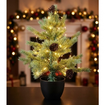 0432865-arbol.jpeg