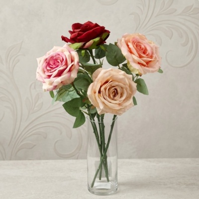 0435665-ROSAS.jpeg