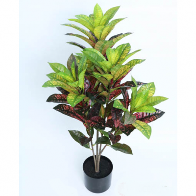 0435684-PLANTA.png